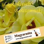 Előlap: Sárga Rózsa